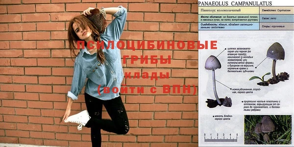 а пвп мука Армянск